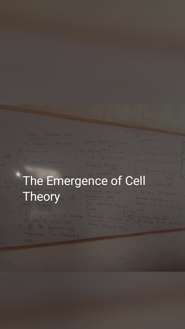 The Emergence of Cell Theory